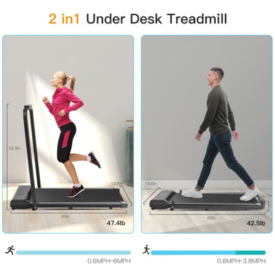 Running: Biomechanics and Exercise Physiology in Practice