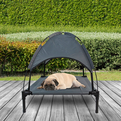 Beautiful view of Gray Elevated Dog Bed