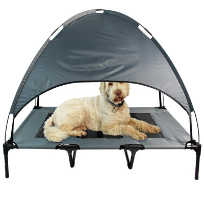 Elevated dog bed xl hotsell