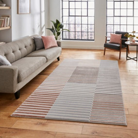 Grey Rose Striped Modern Rug Easy to clean Dining Room-120cm X 170cm