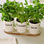 Grow, Thrive & Flourish Ceramic Plant Pots