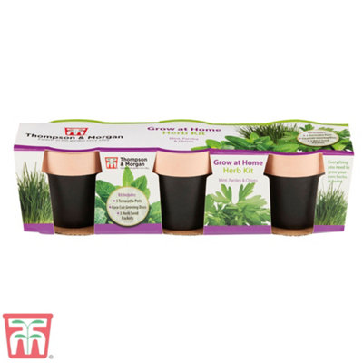 Grow your Own Herbs + 3 Terracotta Chalk Pots
