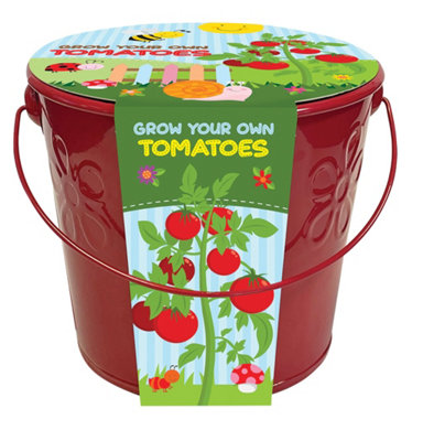 Grow Your Own Tomatoes Bucket Easy Kids Kit