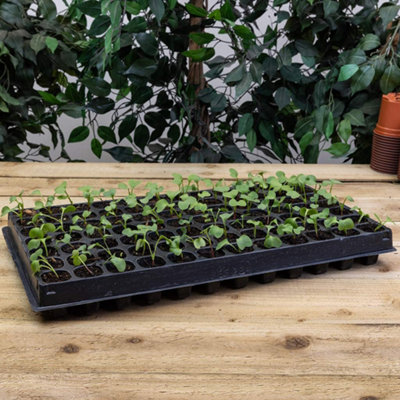 Growers Choice 4 X 84 Cell Seed Tray Inserts Reusable Black Recycled ...