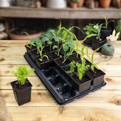 Growers Choice Vegetable Growing Tray 18 x 9cm Square Pots Reusable ...