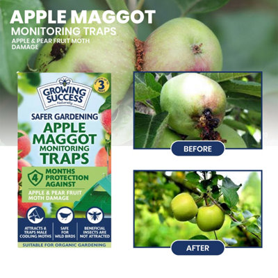 Growing Success Apple Maggot Monitoring Trap for Fruit Trees Non Toxic ...
