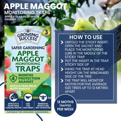 Growing Success Apple Maggot Monitoring Trap for Fruit Trees Non Toxic ...