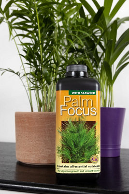 Growth Technology Ltd 1L Palm Focus