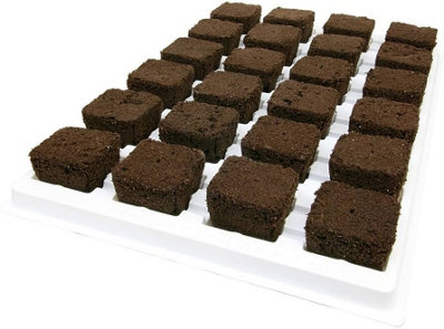 Growth Technology Root Riot - 77 tray