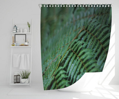 grren leaves pattern and texture at Indonesia (Shower Curtain) / Default Title Price Comparisons | Compare The Build