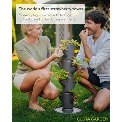 Sissi Strawberry (Starter, wit) – plantenbak / pot/plantentoren / verhoogd bed voor aardbeien – voor balkon, tuin en terras – aardbeien en kruiden aanplanten
