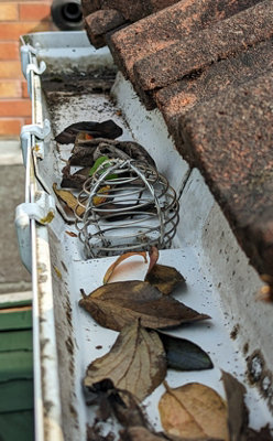 Gutter Pipe Leaf Wire Balloon 100-120mm - Galvanised