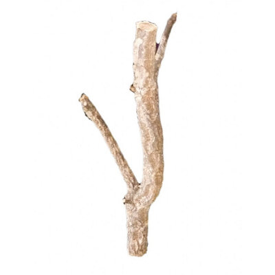HabiStat Cork Branch 50cm Vivarium Décor Price Comparisons | Compare The Build