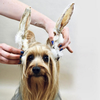 Hairy Rabbit Ears (5kg) Natural Long Lasting Dog Chew Treat