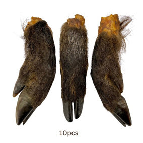 Hairy Wild Boar Legs (10pcs) Grain Free Dog Treat