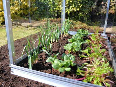 Half Cold Frame - Aluminium/Glass - L65 x W121 x H82 cm - Racing Green - 4