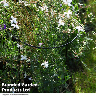 Half Round Plant Support H60 x W30 x D17cm x 8