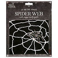 Halloween Creepy Crawley Spider And Web