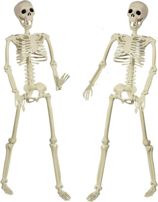 Halloween Posable Skeleton - 90cm Full Body Halloween Skeleton with ...