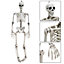Halloween Realistic Full Body Skeleton Prop Decoration Posable Joints 90cm
