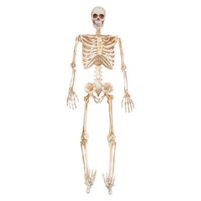 Halloween Skeleton Decoration with LED Eyes Trick or Treat Party 36 ...