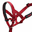 Halti Dog Head Collar Red (2) Quality Product