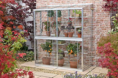 Hampton-D 5 Feet Lean to Mini Greenhouse - Aluminium/Glass - L151 x W77 x H181 cm - Black