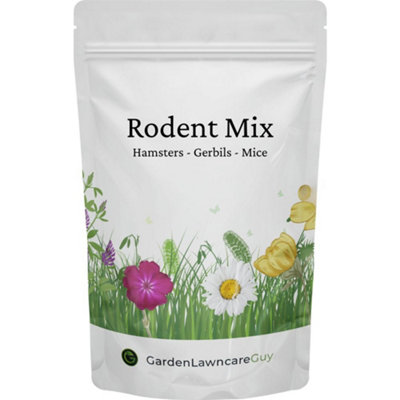 Hamsters, Gerbils, Mice & Rats - Rodent Forage Mix - Grow Your Own ...