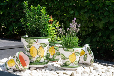 Hand Painted Lemons Outdoor Garden Bola Flower Plant Pot