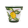 Hand Painted Lemons Outdoor Garden Flower Plant Pot (Diam) 29cm