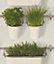 Hanging Basket Wallpaper Rasch Green Grey Botanical Plant Leaf