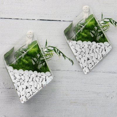 Hanging Diamond Glass Terrarium - Set of 2