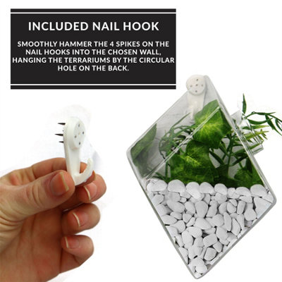 Hanging Diamond Glass Terrarium - Set of 2 - 4