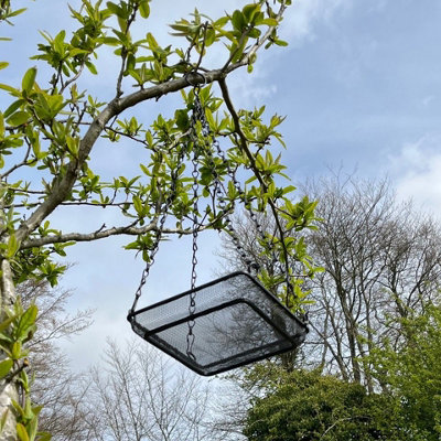 Hanging Metal Bird Seed & Nut Feeder Tray Price Comparisons | Compare The Build