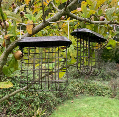 Hanging Suet Block Bird Feeders (Set of 2)