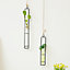 Hanging Test Tube Glass Hydroponic Planter with Hemp Rope H 225 mm