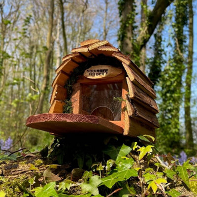 Hanging Wooden Wildlife Squirrel Feeder - 4
