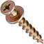 Hangman Gold Bear Claw Picture Hanging Screws (25 Pack) BCK-25