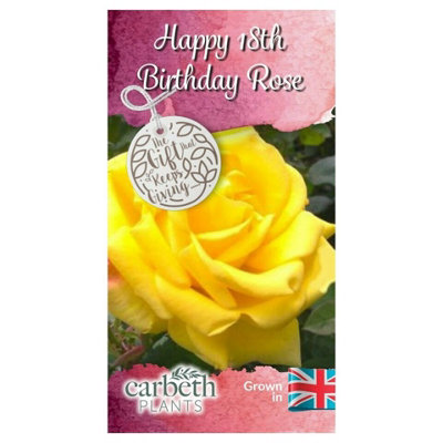 Happy 18th Birthday Rose Bush Gift Wrapped - Plant Gift Perfect for ...