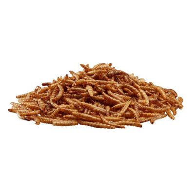 Happy Beaks Dried Mealworms Bird Food for Wild Birds (500g Bag) High ...