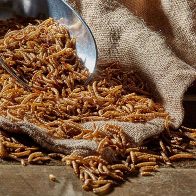 Happy Beaks Dried Mealworms For Wild Birds High Energy, High Protein Premium Bird Food (200g)