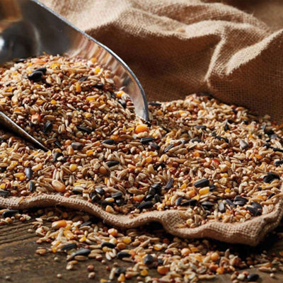 4KG TRADEFARMNI Wild Bird Food Seed Mix. Premium High Energy Protein