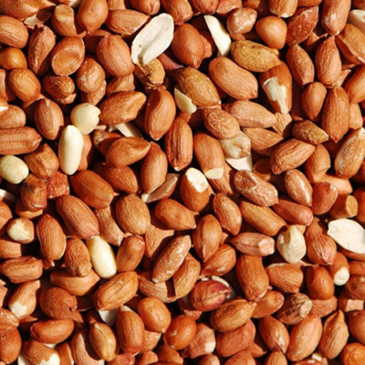 Hardys 1kg Wild Bird Nuts Peanut Kernels Feed Premium Food All Season Garden Feeder Price Comparisons | Compare The Build