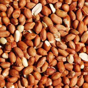 Hardys 1kg Wild Bird Nuts Peanut Kernels Feed Premium Food All Season Garden Feeder