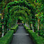 Hardys 2.4M Metal Steel Garden Arch Rose Plant Flower Climber Path Home Archway Trellis