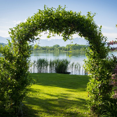 Hardys 2M Metal Garden Arch - Ideal Trellis Support for Climbing Plants, Arbour Archway Garden Path Feature, Coated Steel, Black