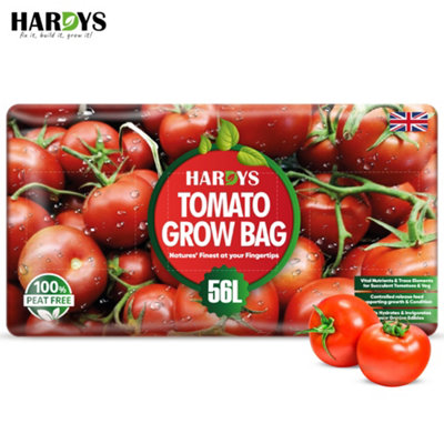 Zenzei Tomato Seeds | Park Seed | Park Seed