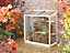 Harlow 3 Feet 4 Inches Lean to Mini Greenhouse - Aluminum/Glass - L100 x W53 x H95 cm - Antique Ivory
