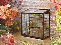 Harlow 3 Feet 4 Inches Lean to Mini Greenhouse - Aluminum/Glass - L100 x W53 x H95 cm - Black