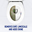 Harpic Toilet Rim Block Cleaner Active Fresh Power Tropical Blossom - 2 Rimblocks - Pack of 3